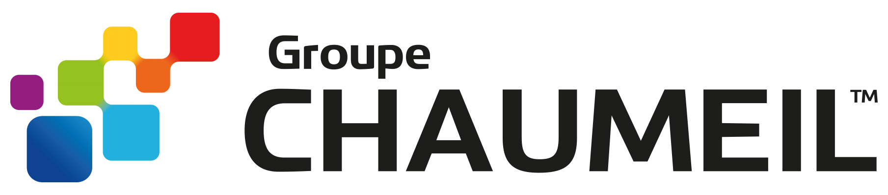 Portail CHAUMEIL